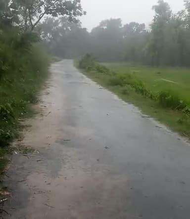 सिमरी बख्तियारपुर: #rain#daily#tension#all#people#purvi#koshi#banth#enough#water#place#navin#nagar