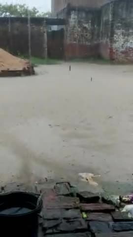 जलालपुर: टरवाँ गाँव में #वारिस होने किसान परेसान है,