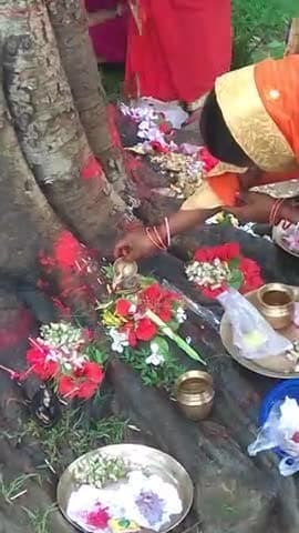 गोड्डा: आज #अमरपुर_Godda में पतिवार्ता व्रत किया गाँव के स्त्रीयो ने पिपल का पेड़ में 108 धागा लपेट kiya
#munnaGodda