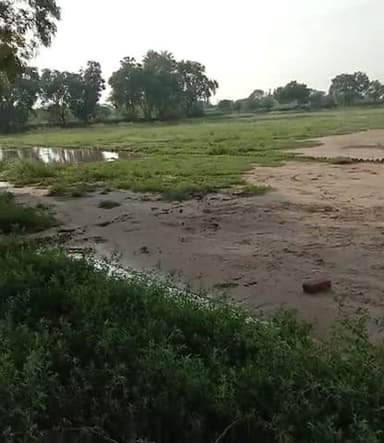 हिसार: bugana#barish#playground#burahaal#barrish #bura#haal #bugana #hisar