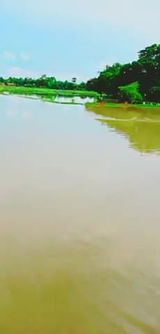 बाजपट्टी: बलहा मकसूदन के नदी में बहुत पानी है इस लिए चार बच्चे डूब गए नदी में नहाने
के स#मय