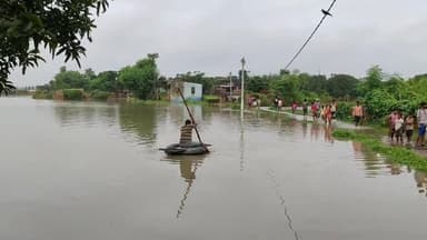 फुलवरिया: चनपटिया ब्लॉक के गोपालपुर ग्राम में बाढ़ का तांडव#westchamparannews @zeehindustan ी@ndtv.journalist @aajtak95600