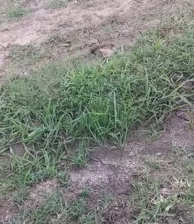 ललितपुर: ललितपुर मडावरा के देवरान कलां मे वारिस न हो रही है#सोना_चांदी