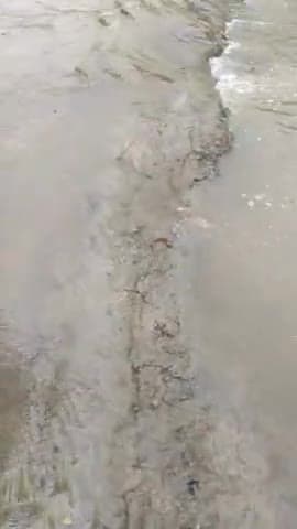 जोगापट्टी: #Nawalpur khalwatola ke hai aya baadh ka pani