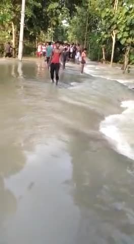 मुशहरी: #गायघाट प्रखंड की बाढ़ की विक्राल दृस्यों को देखये #gayghat #muzaffarpur #bihar #floodbihar