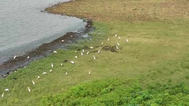 बालोद: तांदुला जलाशय बालोद में आज का खूबसूरत नजारा..
#balod #balodct #tandula #dam #chhattisgarh @balodct