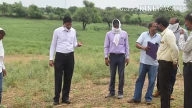 सीकर: किरडोली और भढाढर में कृषि विभाग की टीम ने छिड़काव करके किया फांके का खात्मा #कृषि_विभाग