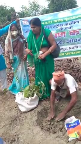 नावकोठी: #nawkothi block....(brindawan,dagffarpur)plantatation.....
programme....@@@