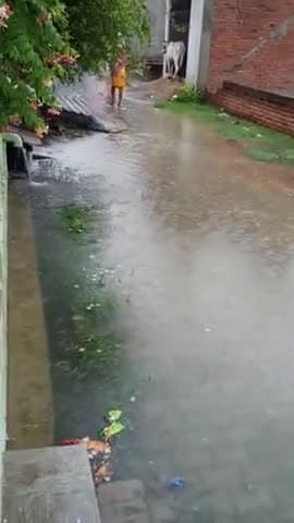 उन्नाव: पीताम्बर नगर की एयरटेल टावर गली में एक महीने से नालियों की सफाई न होने से मोहल्ला बना टापू
#NagarPalikaUnnao #dmunnao