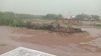 बीकानेर: #अक्कासर में #बरसात आने से  #किसानों के चेहरों पर आई #खुशी
