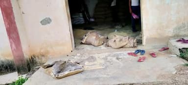 कुंदा: विभाग की लापारवाही के कारण गोदाम में सड़ा 26 बोरा चावल, पानी का रिसाव होने से हुआ बर्बाद #खाद्यान्न