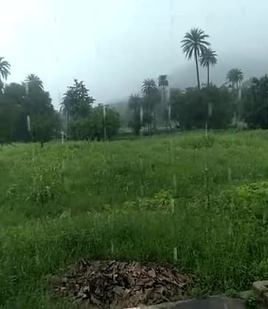 आबू रोड: #माउंट_आबू में देर रात से  बारिश का दौर जारी #mount_abu 