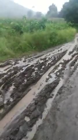 परसिया: लिखावाड़ी कोल्हूखेड़ा वार्ड नंबर03 सड़क नाले में तब्दील 1महीने पहले मरम्मत हुईथी सड़क #news18 #rode #help @modi147