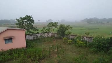 देवीपुर: इलाके में आज से हो गया #कुहासा
से का शुरुआत.