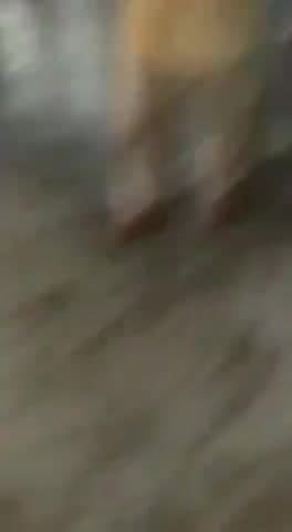 गाज़ीपुर: *मुंडका आश्रम में पाठ प्रकाश का प्रसाद ले जाते भक्त लोग #अध्यात्म
#ग़ाज़ीपुर