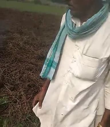 कन्नौद: सुरानी: किसान कड़वा जी चौहान द्वारा अपने सोयाबीन को जलाया जा रहा है। सोयाबीन 15 दिनों से भीग रहे थे।#सुरानी#surani