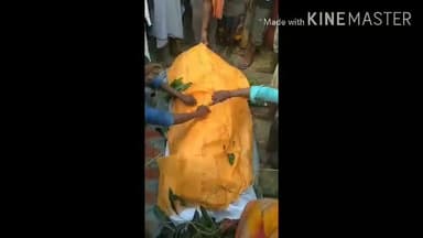 मुरलीगंज: , करंट लगने से 35 वर्षीय व्यक्ति की हुई मौत मुरलीगंज थाना बेलों कला वार्ड नंबर 2
#justic