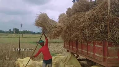 कोंडागांव: बस्तर के कोण्डागाँव जिला में आज भारी बारिस होने की संभावना, फसल हो रहे हैं बरबाद!
#बस्तरमौसम #फसल_बरबाद #धानफसल #छग