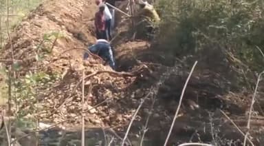 भवनाथपुर: सिंघीताली के भदेरा टोला में मनरेगा योजना से वृक्षारोपण योजना में जेसीबी से ट्रेंच खोदे जाने का मामला आया राकश में#गड़बड़ी