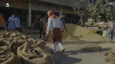 Are #Arhatiyas Dispensable?
Part-1 : आढ़तिये कौन होते है और मंडी में इनकी भूमिका क्या होती है?
#kisan #farmlaws2020