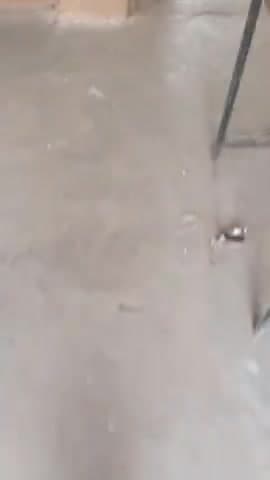 आरोन: ग्राम आंख खेड़ा में बच्चों के मिड-डे मिल का गेहूं चोरी, स्कूल का ताला तोड़कर ले गए चोर #aakash dhakad