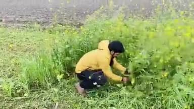 #FarmersProtestingOnFarmersDay
#FarmersWithModi #FarmersBill #किसानदिवस #किसान_मित्र_मोदी_सरकार हकीकत यही है?