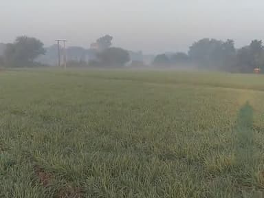घट्टिया: #kisan#kishanlightproblams धूलेतिया व उसके आसपास घना कोहरा छाया रहा