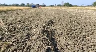 अश्वगंधा की खेती की जानकारी के लिए जुड़े Indian Agri Network यूट्यूब चैनल से
#राष्ट्रीयकिसानविकासमहासंघ