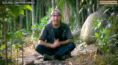 हम घोंघे क्यों मारते है?
#peepalfarm #peoplefarm #animalrescue #animalwelfare #compassion #philosophy