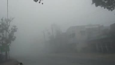 कोल: कोहरे की चादर मे लिपटा गांव नगला औसफली
#aliagrh #jalali #Aligarh