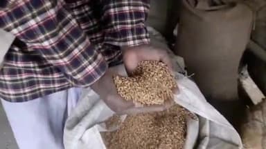 नारायणपुर: नारायणपुर प्रखंड के कुछ पीडीएस दुकान में गेहूं का आपूर्ति #घटिया हो रहा है