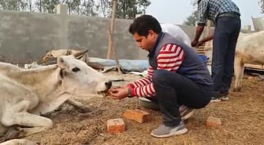 कल पुनः गौ सेवा करने का अवसर प्राप्त हुवा
आपका #बजरंगी @bjp4supaul @bjp4uttarpradesh