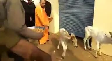 प्रदेश में महिलाओं और मासूम बच्चियों पर हों रहें अत्याचार को देखकर गाय माता भी आजकल नाराज चल रही #बाबा_जी सें