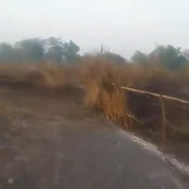 डुमरिया: डुमरिया प्रखण्ड '' हरित ग्राम योजना '' के तहत बागवानी में आग लगी से सारा टहनी जलकर खाक।
#पेड़ों को बचाऐं
