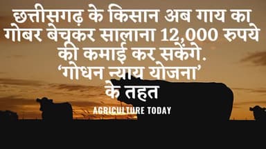 गोधन न्याय योजना से छत्तीसगढ़ के किसानों को मिलेगा सालाना 12हजार #agriculturetoday