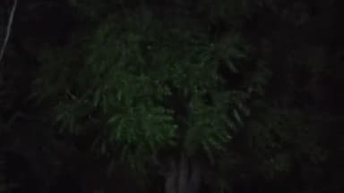 प्रतापगढ़: #prtapgarh up tej aandi aayi hai aur kahi kahi halki halki barish bhi ho rahi hai mausam ek dam suhana ho gya hai light