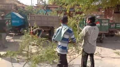 चरखारी नगर पालिका के पास आज अचानक दोपहर में #पेड़ #टूटने से बहुत बड़ा हादसा बचा वाहन हुए क्षति ग्रस्त