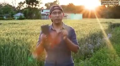 Vegans ko B12 vitamin supplements kyon lena padhta hai?
#robinsingh #animalwelfare #animalrescue #vegan