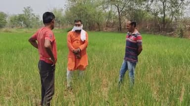 आत्म हत्या करने किसान तैयार
बिजली सुधारो भूपेश सरकार
@bjp4cgstate #kisanagainstbhupesh #amitsahu