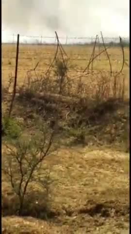 ब्लॉक #कुरारा के ग्राम #रघवा में लाइट के सॉकेट के कारण गेहूं में लगी भीषण आग 14 बीघे की फसल हुई नष्ट @nishant_tripathi