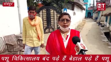 रायपुर: #Raipur में #LockDown लगने से #पशुओं की हालत #खराब, कोई देखने वाला नहीं #बेहाल पड़े #गौवंश!