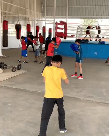 #ManojKumarBoxingAcademy
#kurukshetra
#haryana
#india
#coaching
#boxing
#sports
#university
#media
#karnal
#kaithal