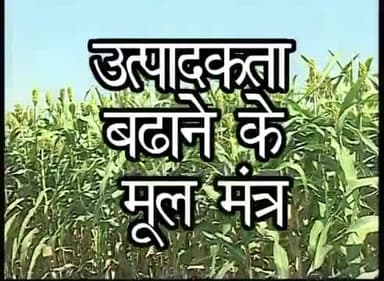 कृषि में उत्पादन बढ़ाने के मूल मंत्र
#Kisan #उत्पादन #बढ़ाने के #उपाय #कृषि #खेती #किसान