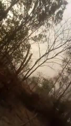आज किसानों का इस वर्ष की पहली धूल भरी आँधी से सामना हुआ। आँधी के बाद छिटपुट बारिश भी हुई #आँधी #aandhi #pailani #banda