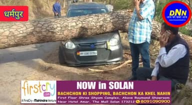 कसौली - धर्मपुर सड़क पर गिरा विशालकाय पेड़, गाड़ी क्षतिग्रस्त #dnewsnetwork #dnn #accident #dharampur #kasauli