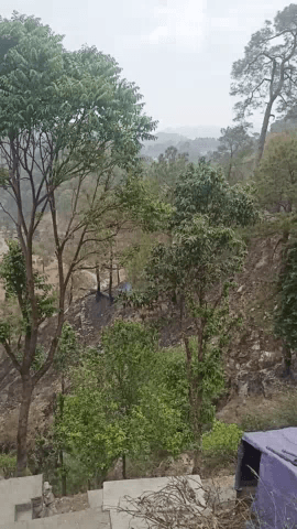 अल्मोड़ा: almora #uk01#mamrchna
#whdura #uk01#