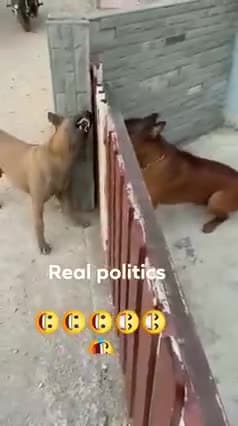 नेता सिर्फ दिखावे के लिए लड़ते है जब   आमने- सामने होता है तो यही होता है 
#funnyPolitics 😁😀🤔