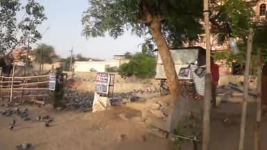 ब्रह्मपुरी थाना क्षेत्र स्थित आमेर रोड पर थडियो के ताले टूटे
#lockdown_news #thief #robbery #news18