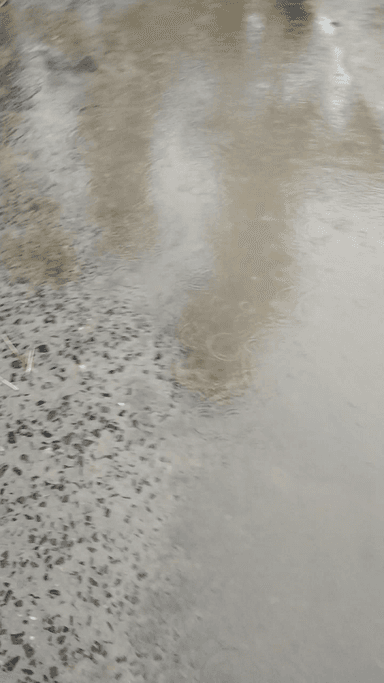 पलासी: barish hone ke Karan kumhiya basti rode#clear road#come fast page para news