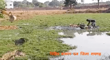 #जिवदया कार्यक्रम - विश्व हिंदू परिषद बजरंगदल - रायगढ़ 
#VHPsewa #Bajrangdal
